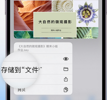 东乡apple维修中心分享iPhone文件应用中存储和找到下载文件