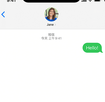 东乡apple维修iPhone上无法正常发送iMessage信息