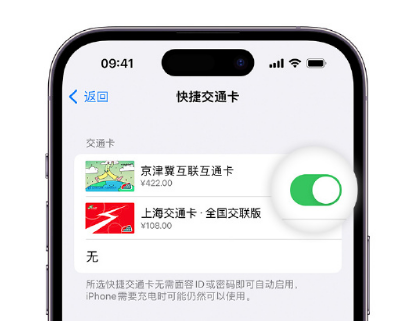 东乡apple维修点分享iPhone上更换Apple Pay快捷交通卡手绘卡面 