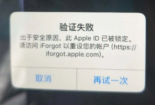 东乡iPhone维修分享iPhone上正常登录或使用AppleID怎么办 