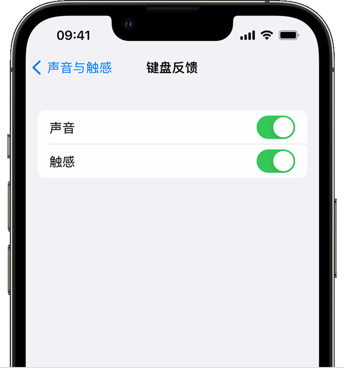 东乡苹果14维修店分享如何在 iPhone 14 机型中使用触感键盘 