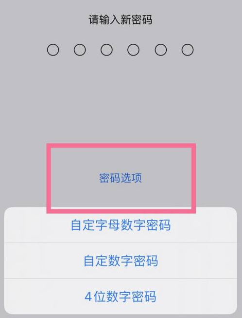 东乡苹果14维修分享iPhone 14plus设置密码的方法 