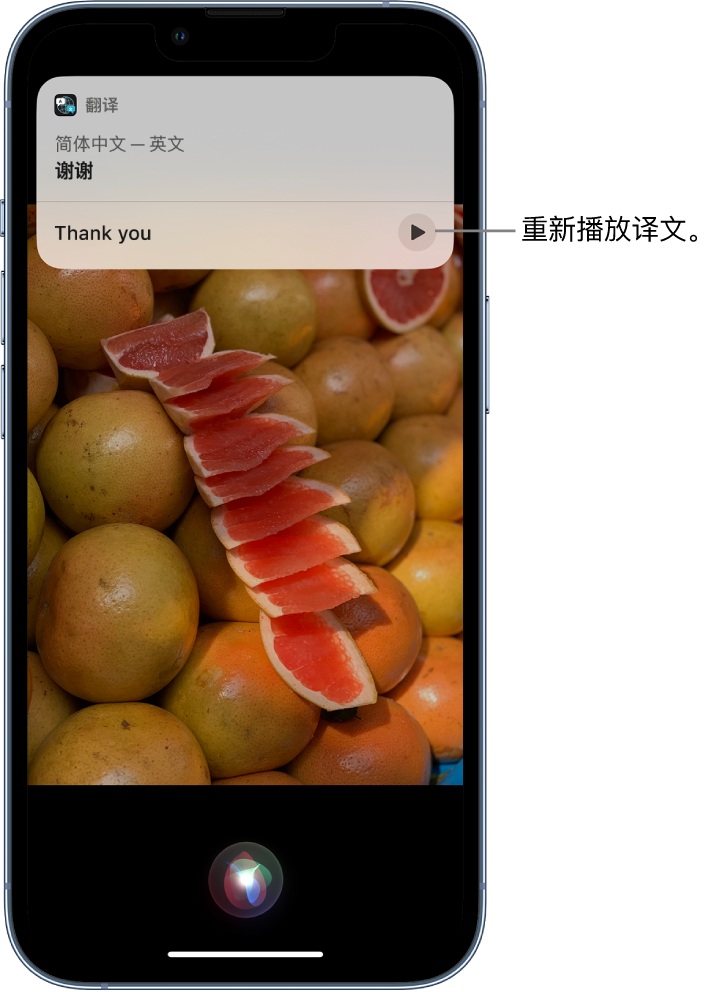 东乡苹果14维修分享 iPhone 14 机型中使用 Siri：了解 Siri 能帮你做什么 